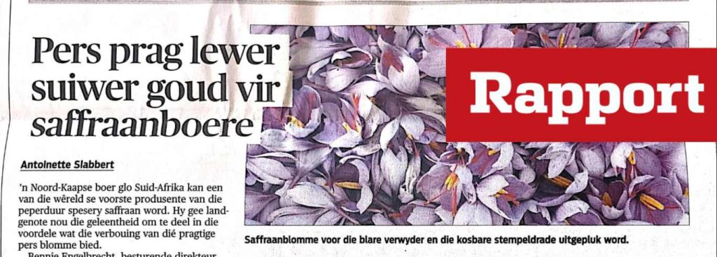Rapport: Geleenthede vir Suid-Afrikaanse Boere